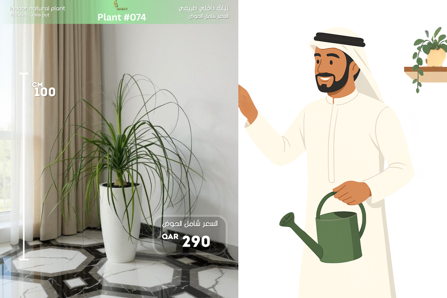 نبتة ذيل الحصان – لمسة ديكور أنيقة وطبيعية لمنزلك