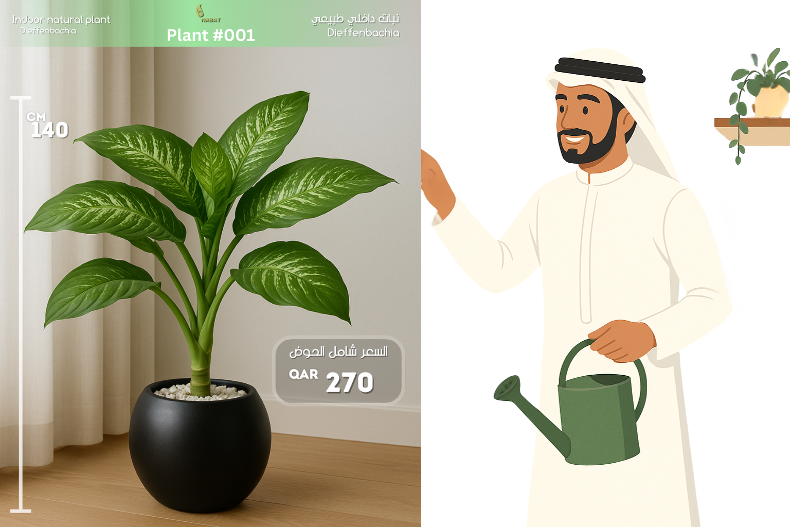 نبتة الديفنباخيا – لمسة فخمة من الطبيعة داخل منزلك