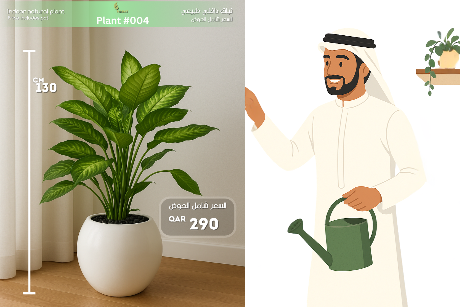 نبتة سباثيفيلوم (زهرة السلام) – رمز الهدوء والنقاء داخل منزلك