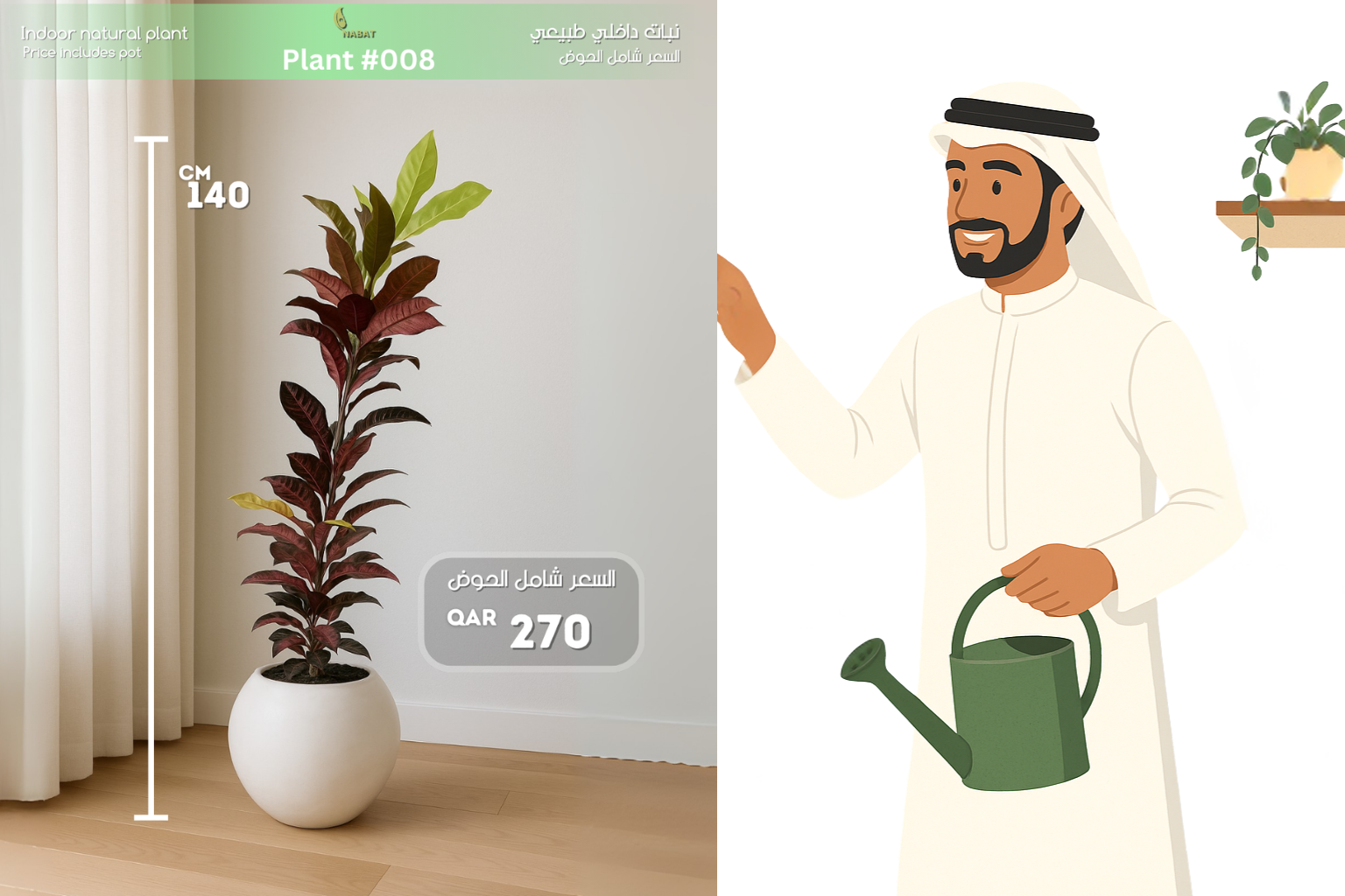 نبتة الكروتون – ألوان الطبيعة في تصميم واحد أنيق