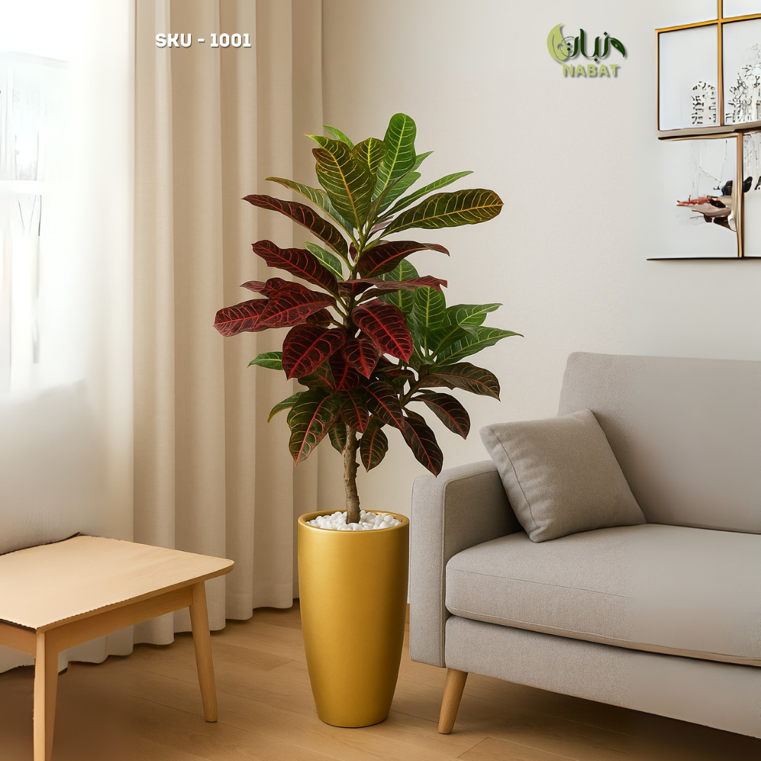 كروتون بامورغي