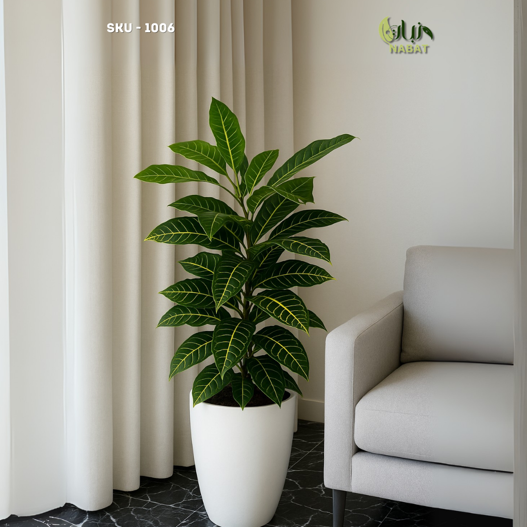 كروتون أصفر